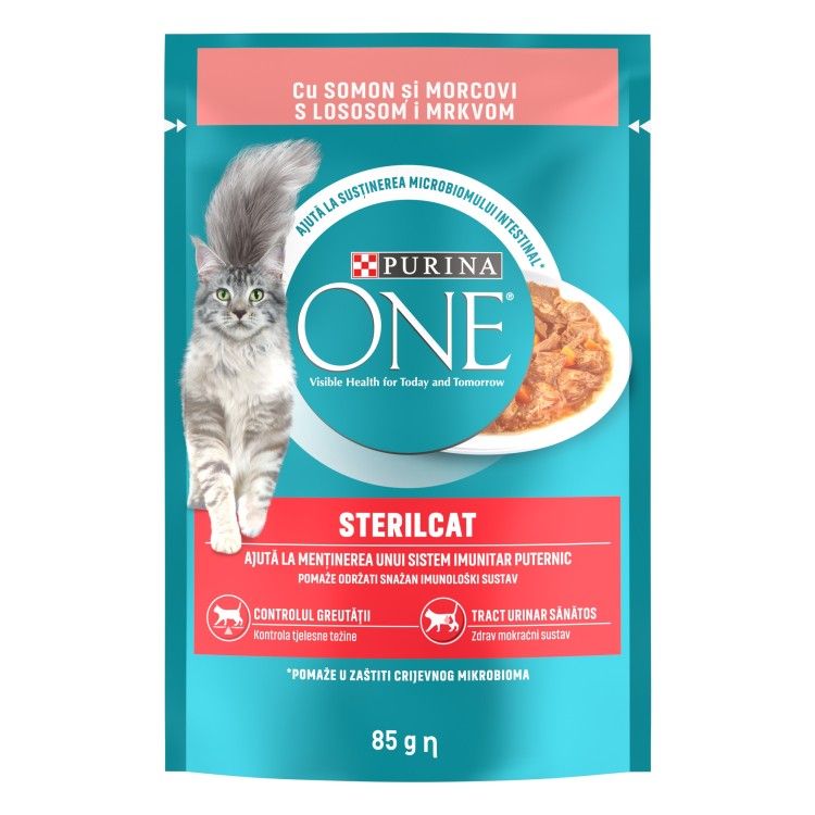 ONE STERILC GiG Salmon&Carrot 26x85g XG