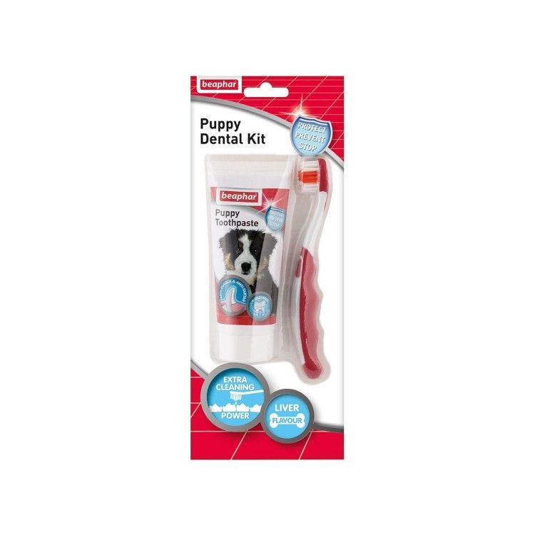 BEAPHAR DENTAL KIT PUPPY PASTA+PERIUTA 50G/12476 (6buc/bax) (Igiena - Caini)