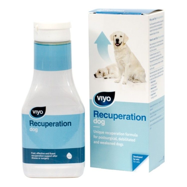 Viyo Recuperation Dog 150ml 