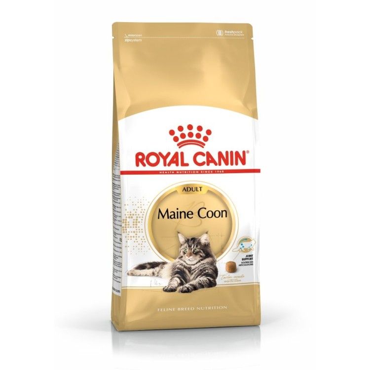 Royal Canin Maine Coon Adult hrana uscata pisica, 10 kg 