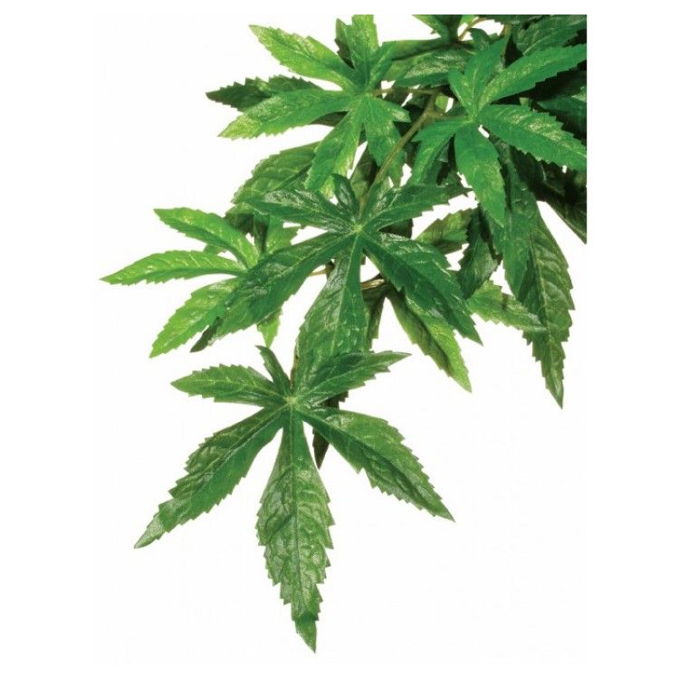 EXO TERRA PLANTA ABUTILON SMALL, 40 cm (Accesorii - Reptile)
