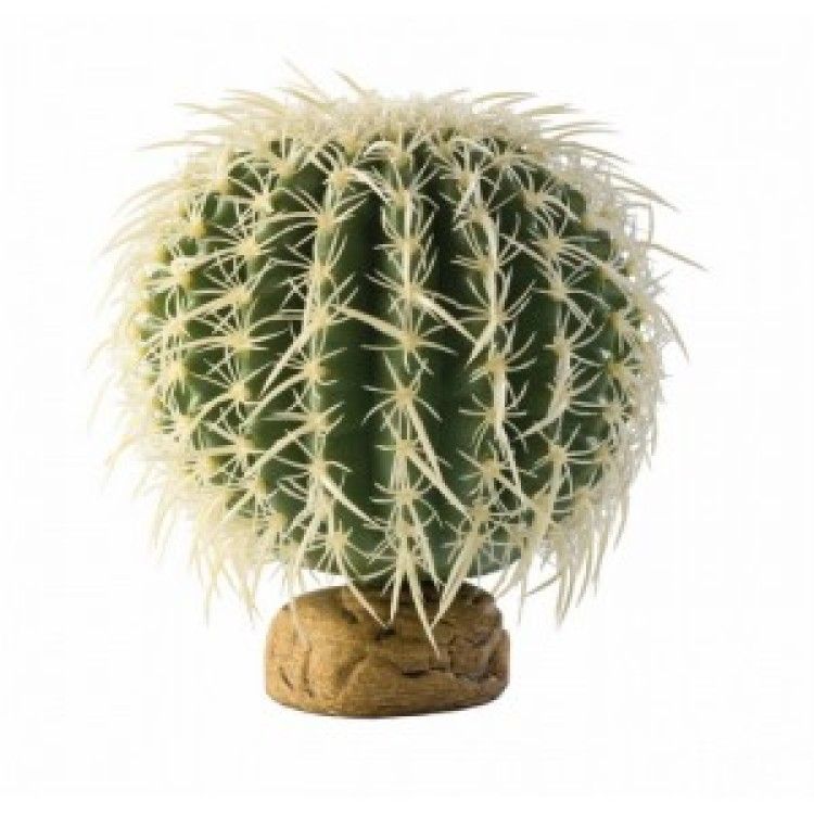 Exo Terra Planta Barrel Cactus