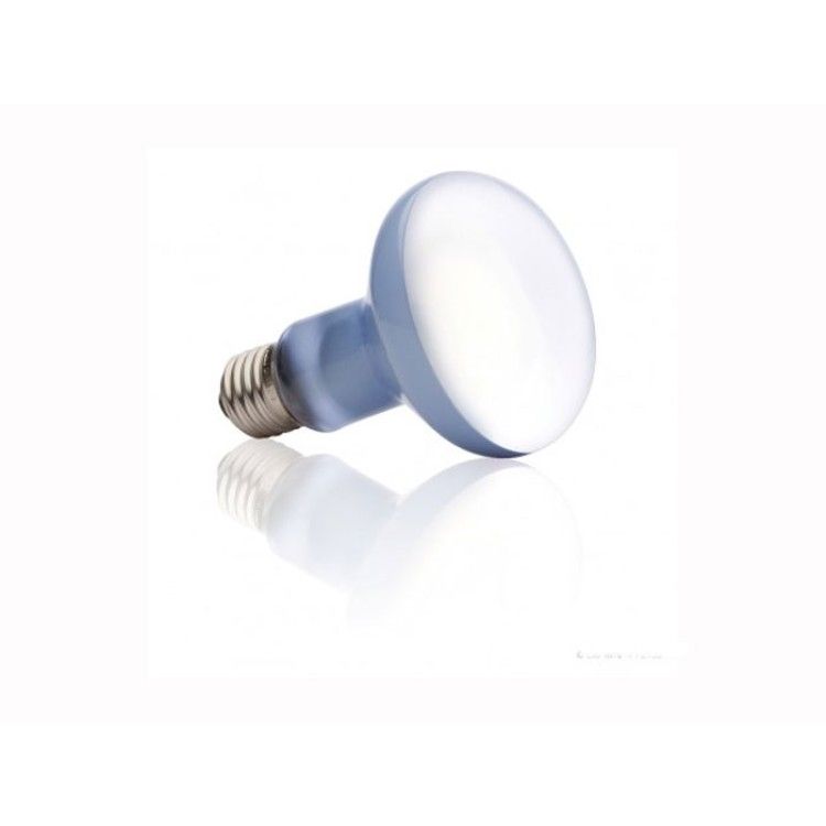 Bec Hagen Exo Terra Sun Glo Neodymium R 25 100 W PT-2133