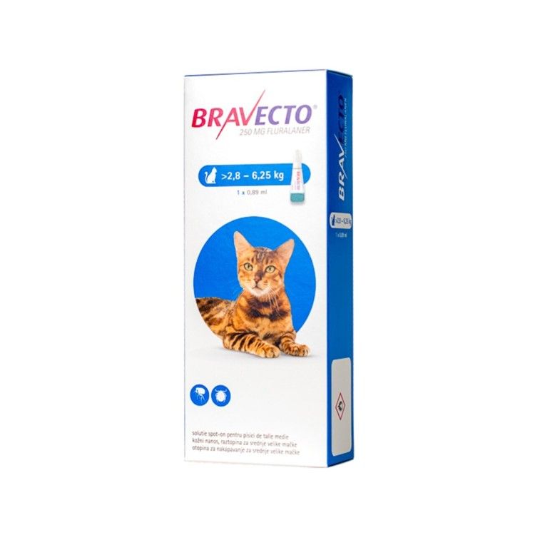 Bravecto Spot On Cat 250 mg, 2.8-6.25 kg, 1 pipeta (PRESCRIPTIE NECESARA)