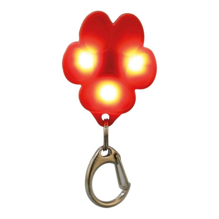 13449 FLASHER USB PENTRU CAINI, 3.5 X 4.3 CM