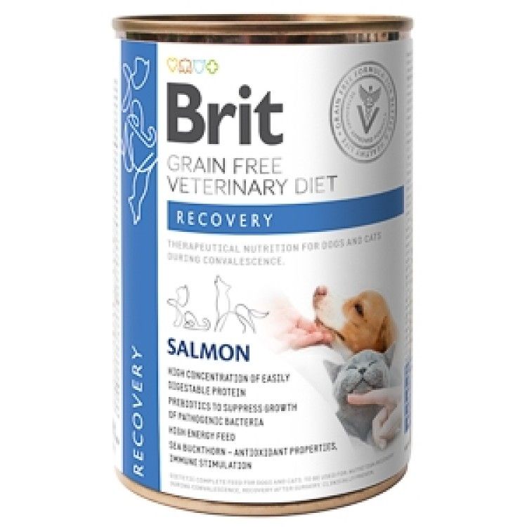 Brit GF Veterinary Diets Dog and Cat Recovery, 400 g