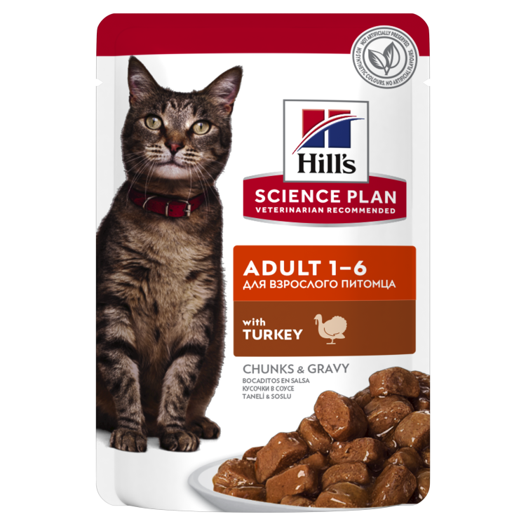 Hill's SP Adult hrana pentru pisici cu curcan 85 g (plic)