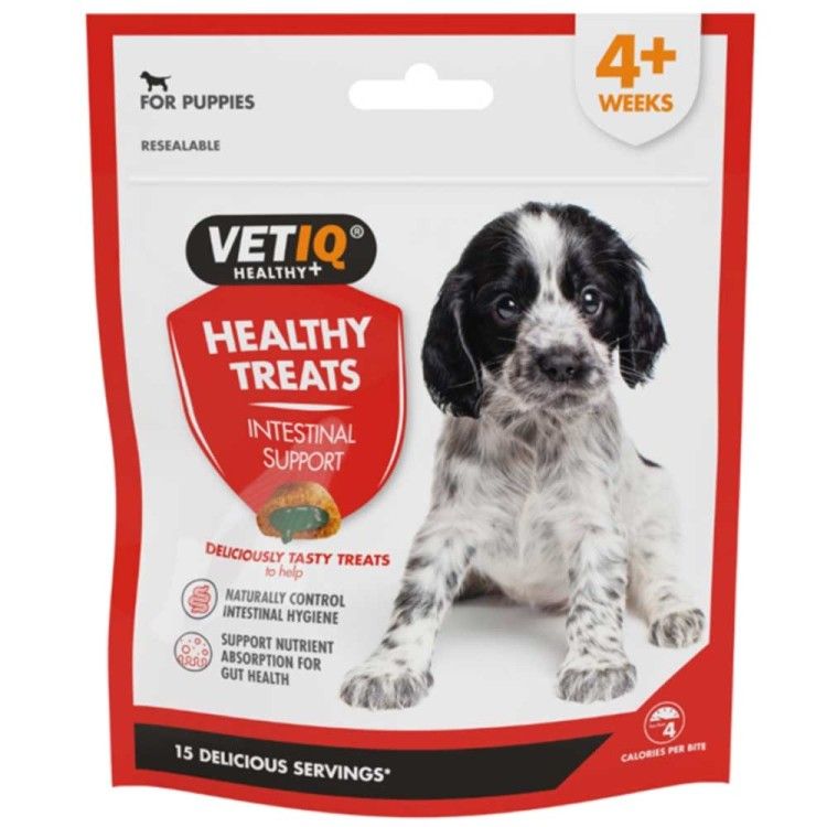 Vetiq Snack Intestinal Aid, 50 g