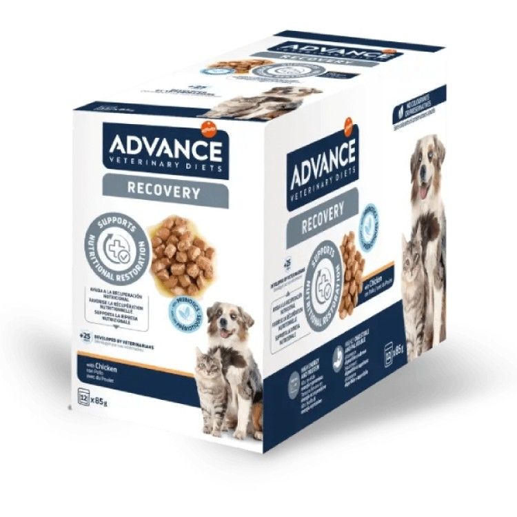 Advance Veterinary Diets Dog & Cat Recovery, 11x100 g (Diete Veterinare - Caini)