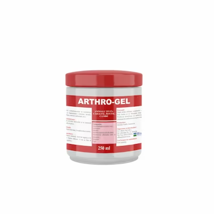 Arthro Gel, 250 ml (Farmacie)