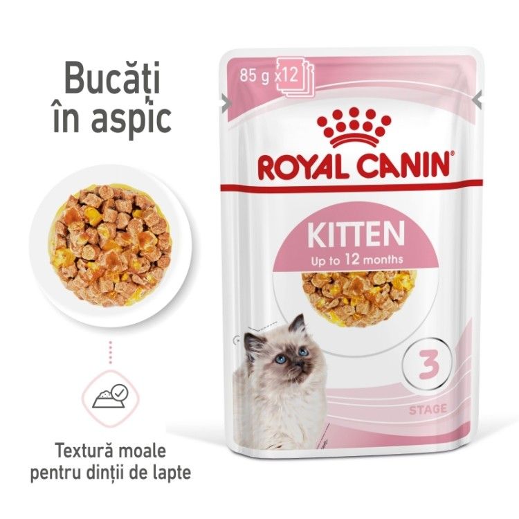 Royal Canin Kitten hrana umeda pisica (aspic), 12 x 85 g - main