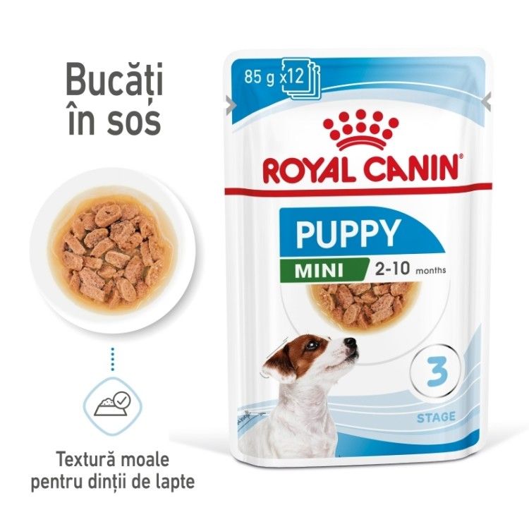 Royal Canin Mini Puppy hrana umeda caine junior (in sos), 12 x 85 g - main