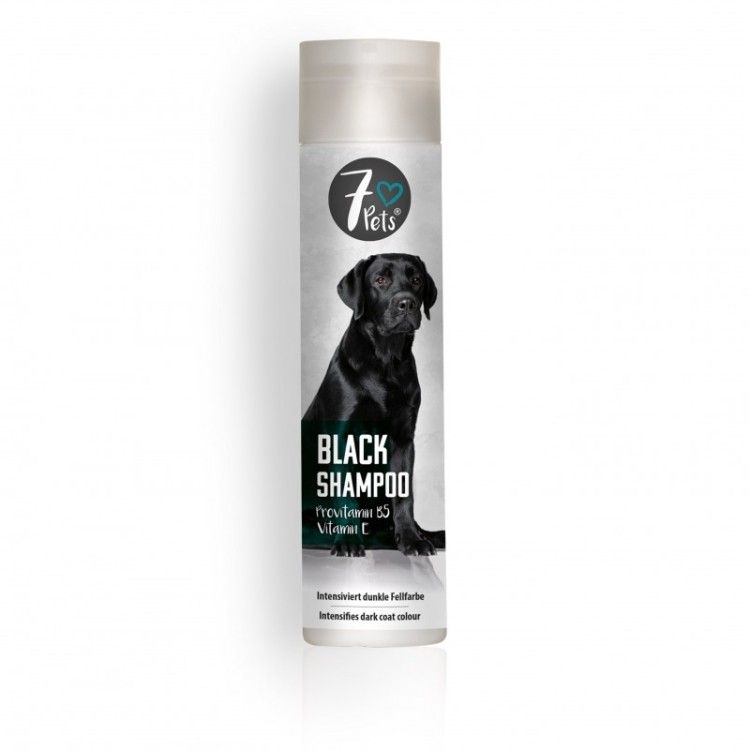 Black Shampoo 250ml