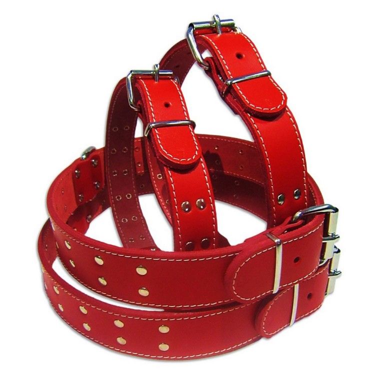 Zgarda Pet Expert Capse 3,5x70 Cm Rosu Nr.8