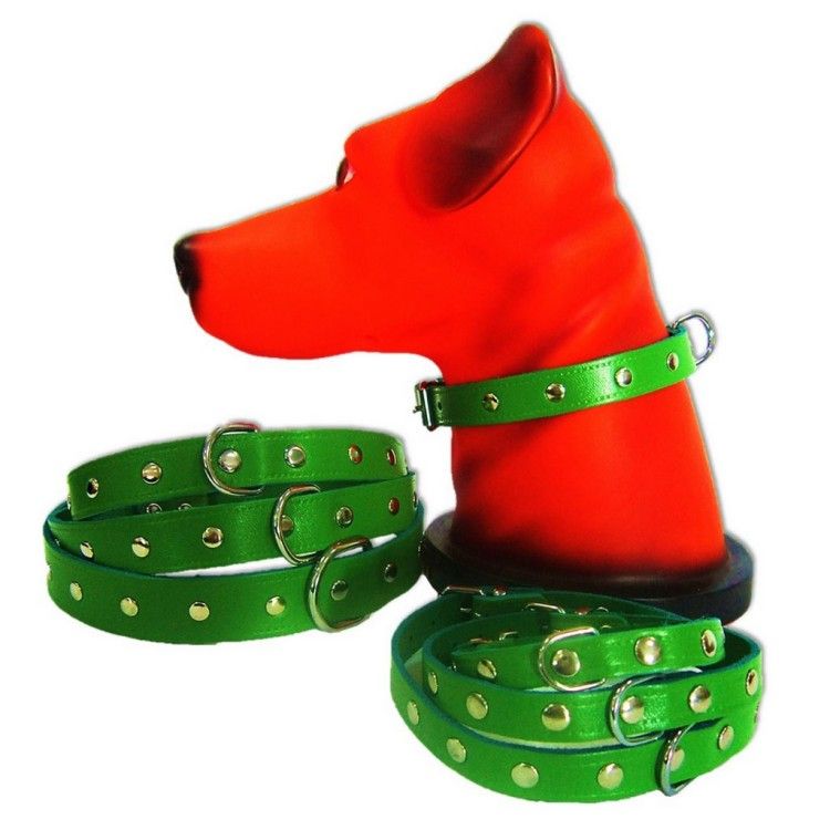 Zgarda Pet Expert Capse 1,0x27cm Verde Nr.0