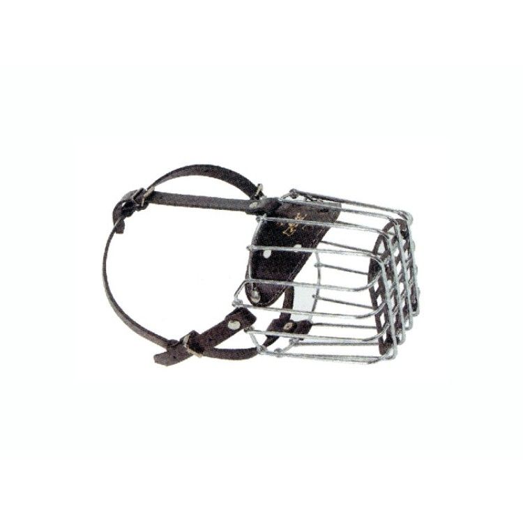 Botnita caine metal Schnauzer mediu