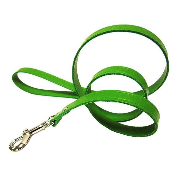 Lesa Pet Expert Clasic 1,5x110 Cm Verde Nr.3
