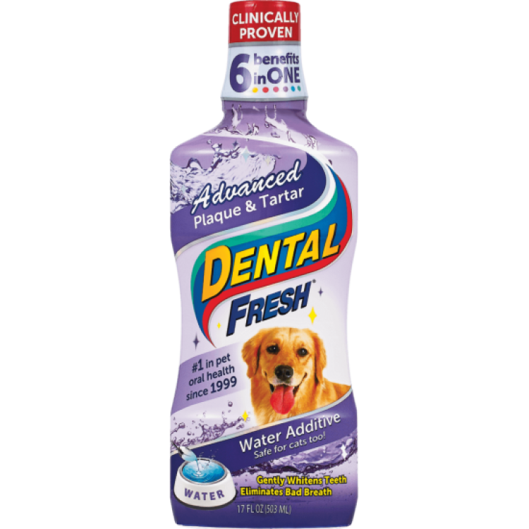 Dental Fresh Advanced Plaque & Tartar Caini, Synergy Labs, 237 ml
