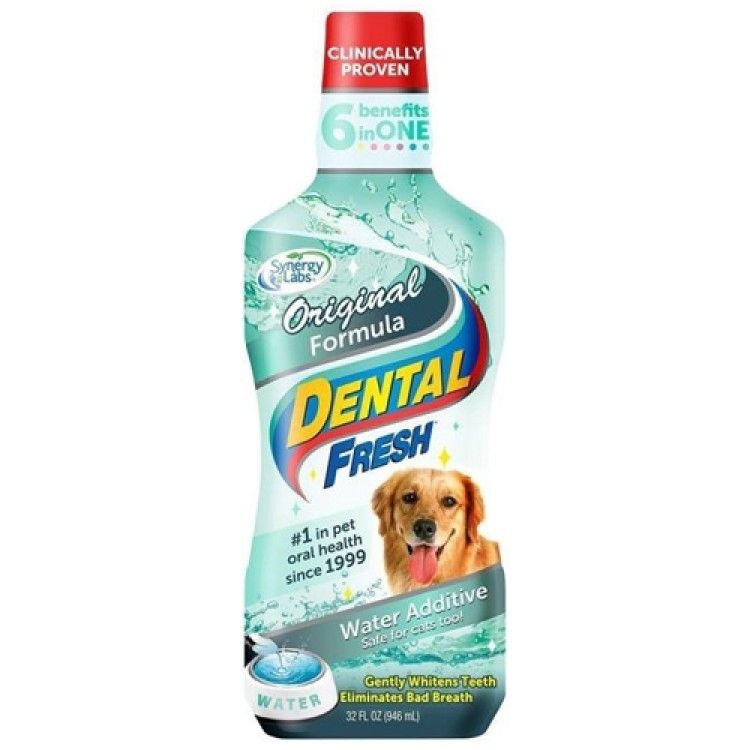 Dental Fresh Original Formula Caini, Synergy Labs, 503 ml