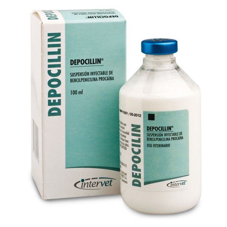 Depocilin 100 ml