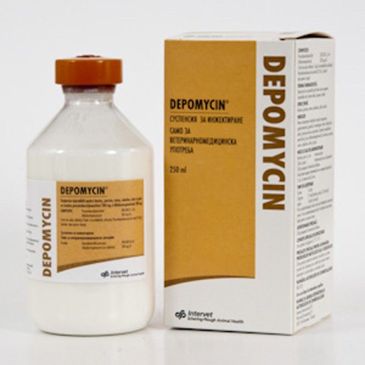 Depomycin 100 ml