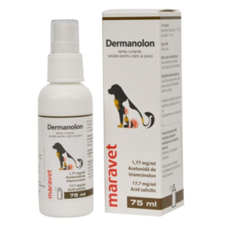 Dermanolon spray, 75 ml