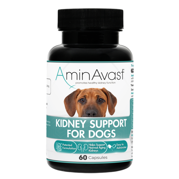 Aminavast Dog, 1000 mg/ 60 capsule (Farmacie)