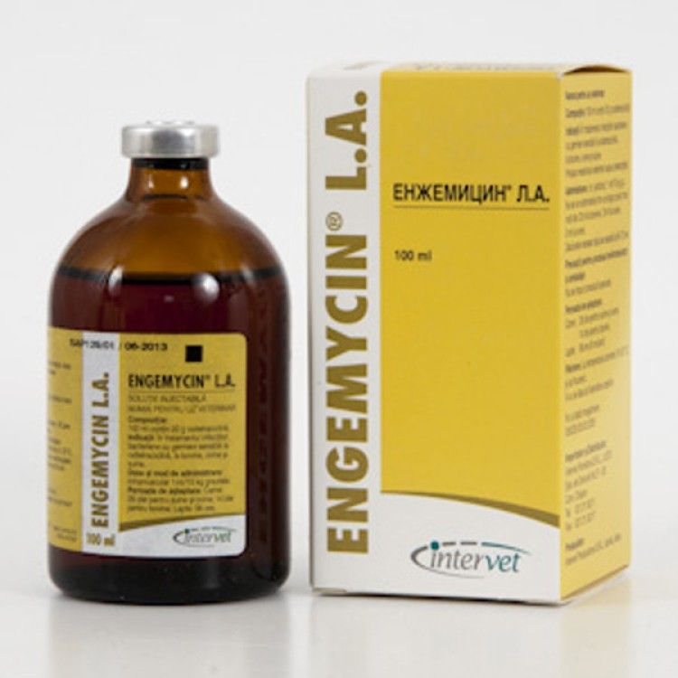 Engemycin LA 100 ml