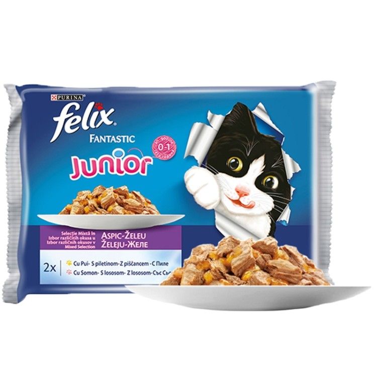 FELIX JUNIOR FntcGiJMVChkn41 12(4x85g)X3