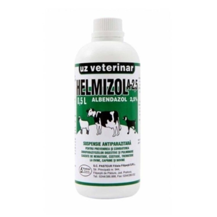 HELMIZOL A 2.5, Pasteur, suspensie orala, 500 ml (PRESCRIPTIE NECESARA)