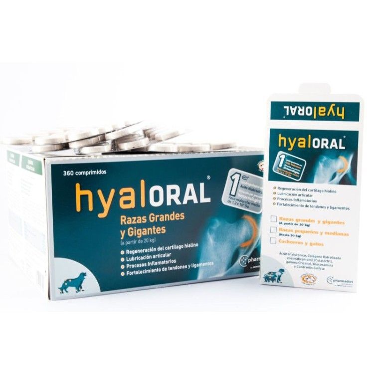 Hyaloral Large Breed 12 tablete