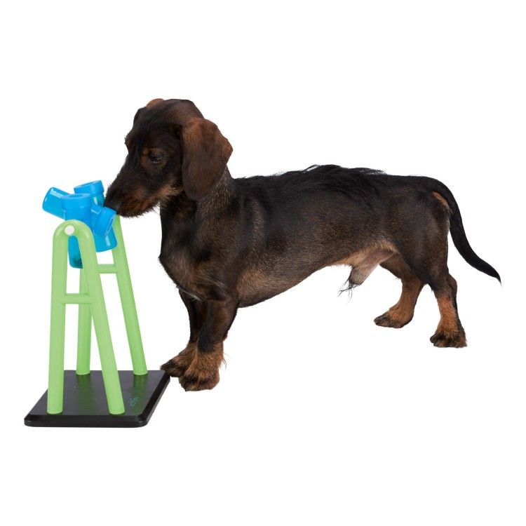 Jucarie Caine Activiti 22x33x18 cm 32019