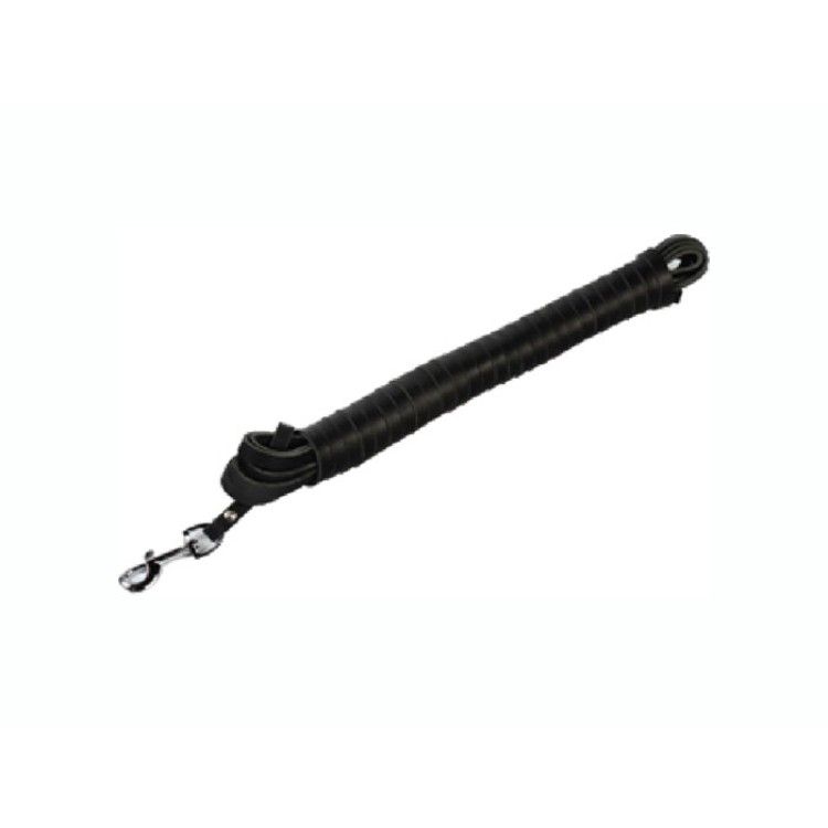 Dingo Lesa Dresaj 8 Mmx2.5 M Negru