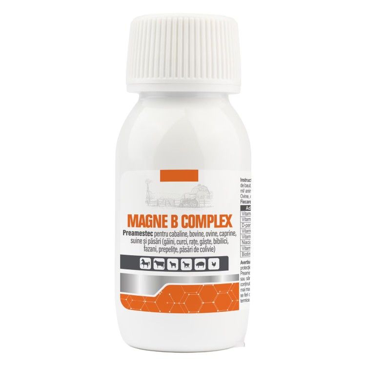 MAGNE B COMPLEX, Pasteur, solutie orala, 50 ml (Farmacie)