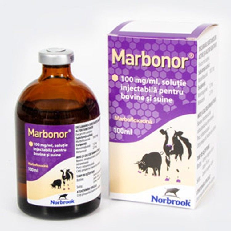 Marbonor 10% INJ 100 ml