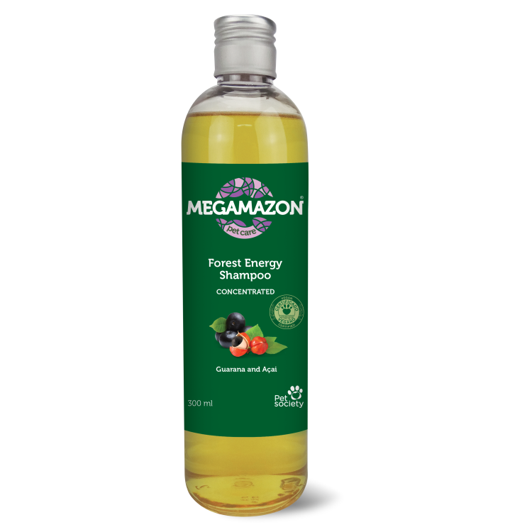 MEGAMAZON SAMPON FOREST ENERGY