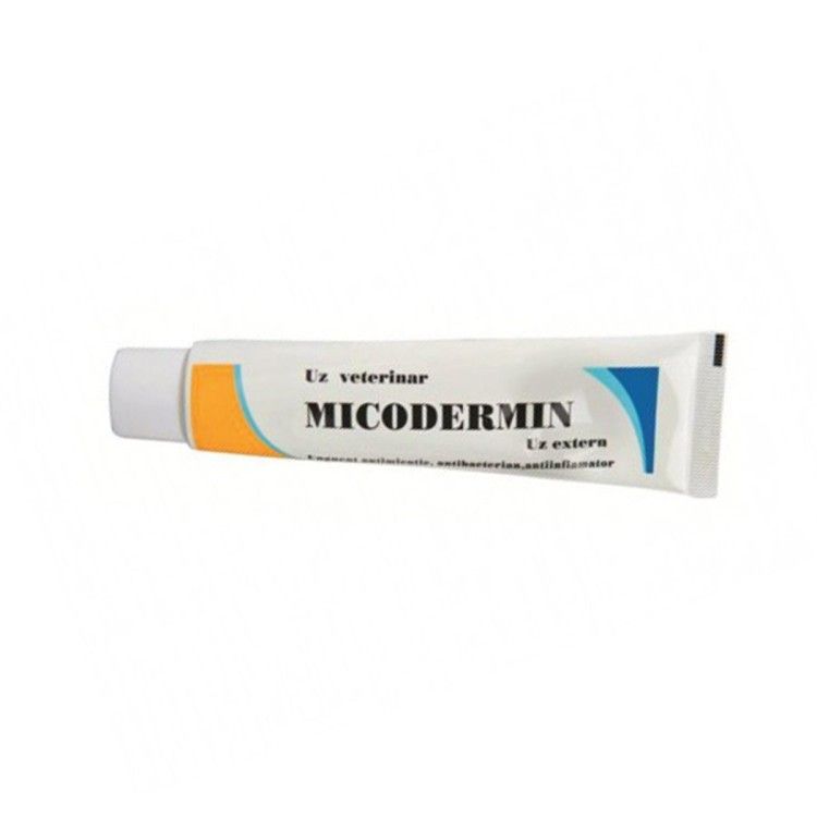 Micodermin, 40 g (Farmacie)