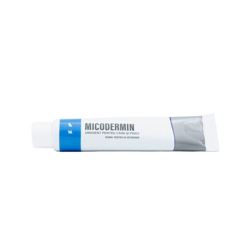Micodermin, 20 g (Farmacie)
