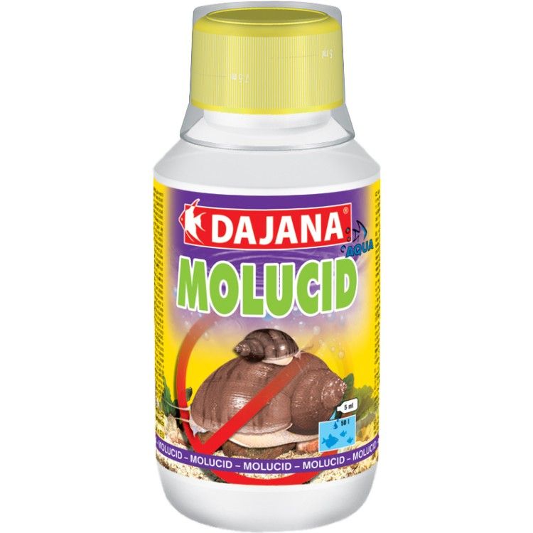 Molucid 100 ml - Dp531A Promo (R)