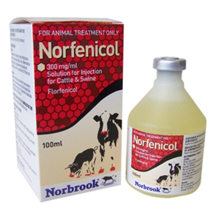Norfenicol inj 100 ml