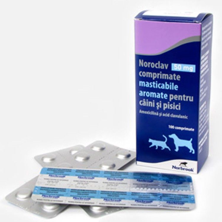 Noroclav 50 mg x 10 TABLETE MASTICABILE