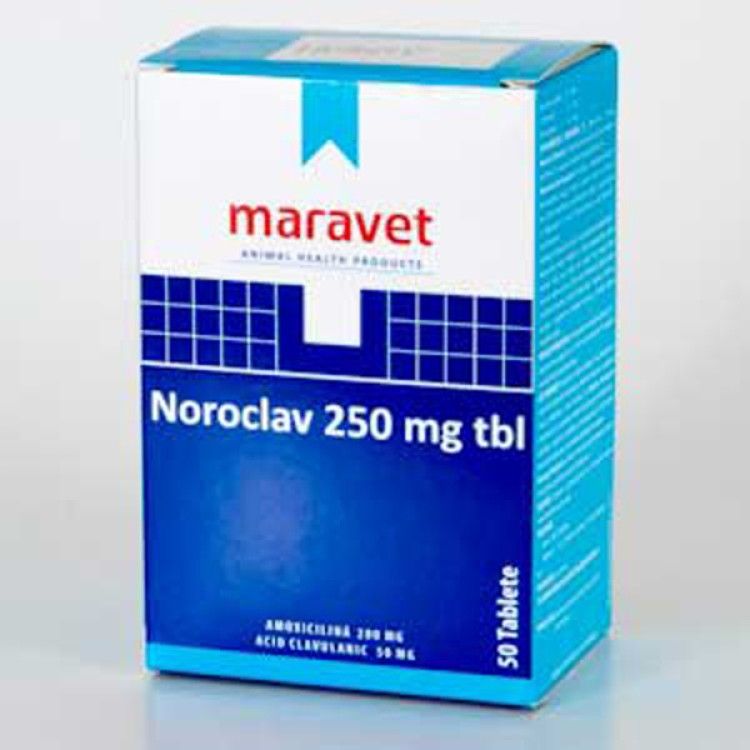 Noroclav 250 mg x 5 Tbl