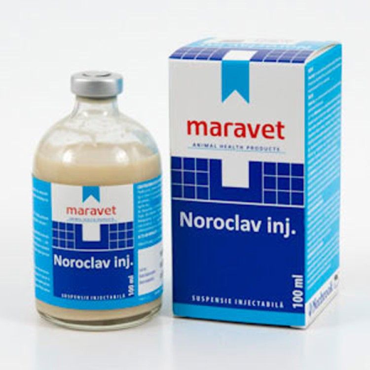 Noroclav INJ 100 ml