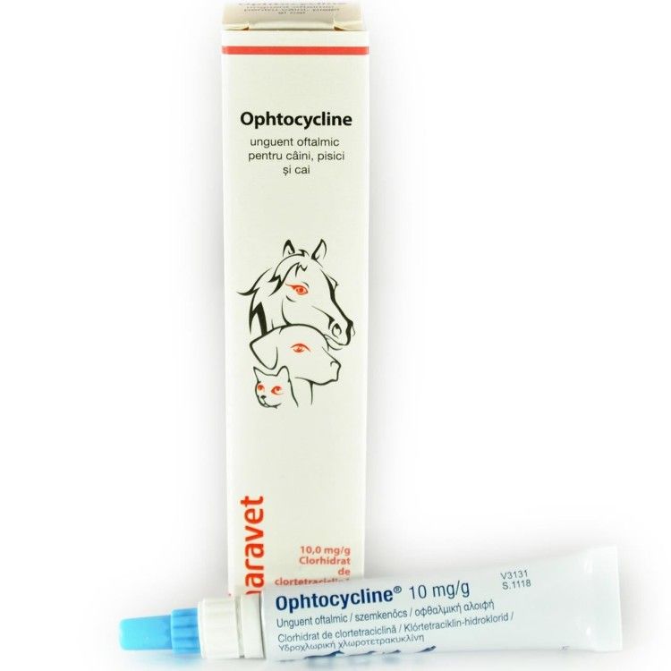 Ophtocycline 