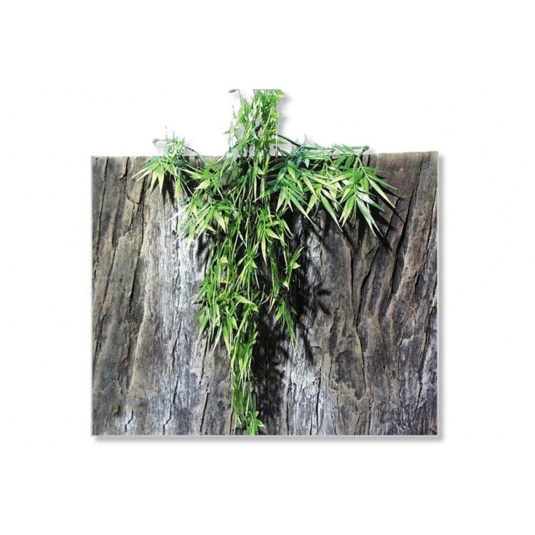 Planta terariu/ JBL TerraPlanta Madagascar Bamboo M29