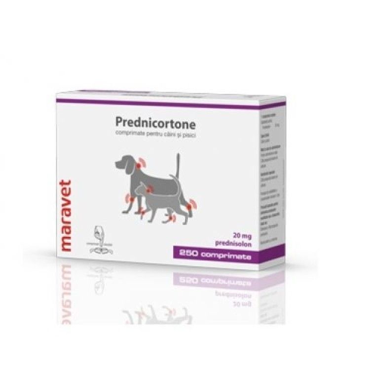 Prednicortone 20 mg, 250 tablete