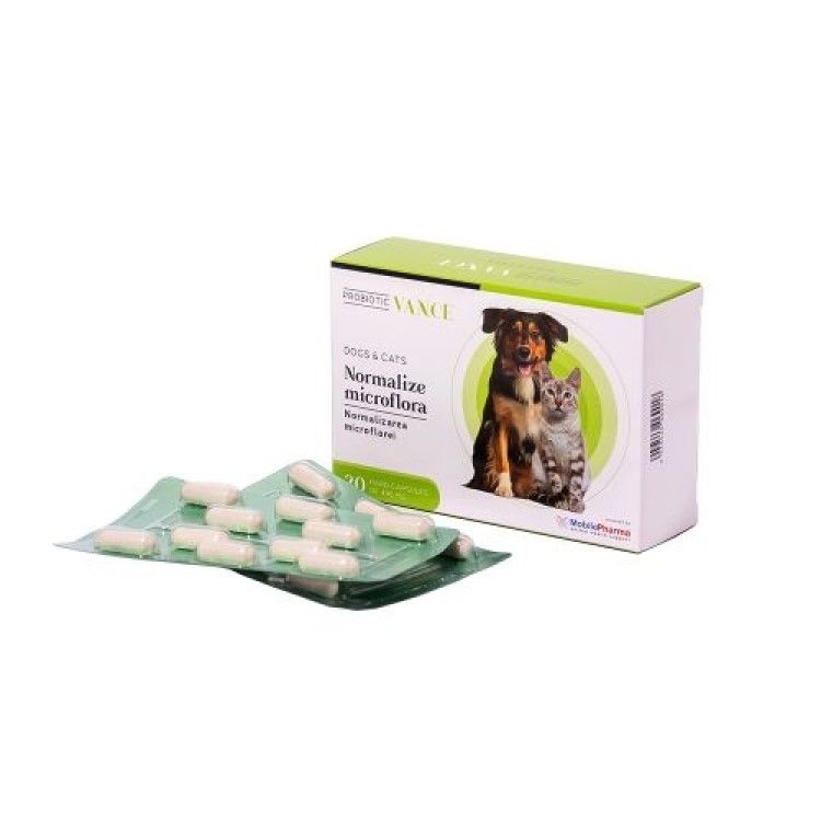 VANCE PROBIOTIC DOGS&CATS - 30 capsule