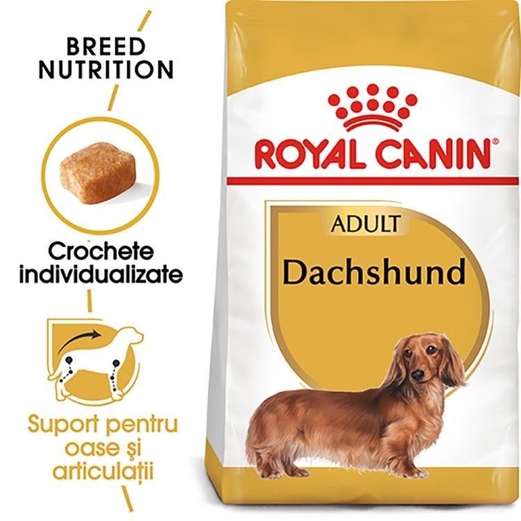 Royal Canin Dachshund Adult hrana uscata caine Teckel (Hrana Uscata - Caini)