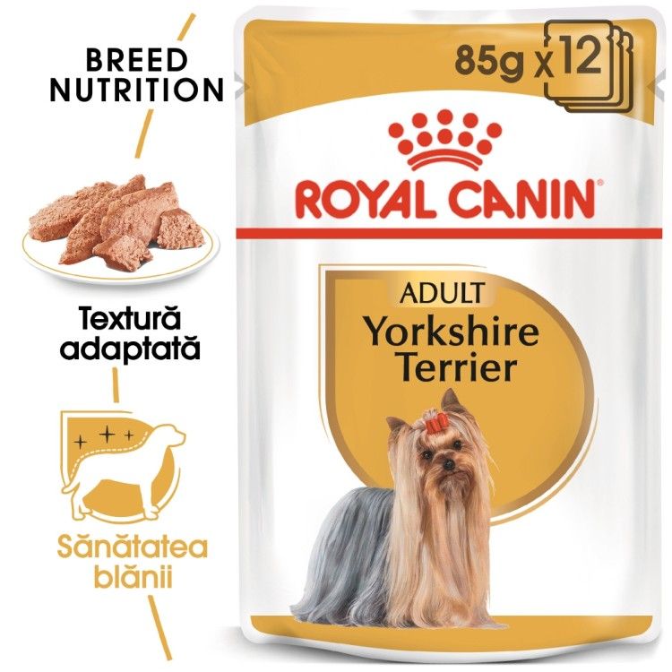 Royal Canin Yorkshire Terrier Adult (pate), 12 x 85 g - plic