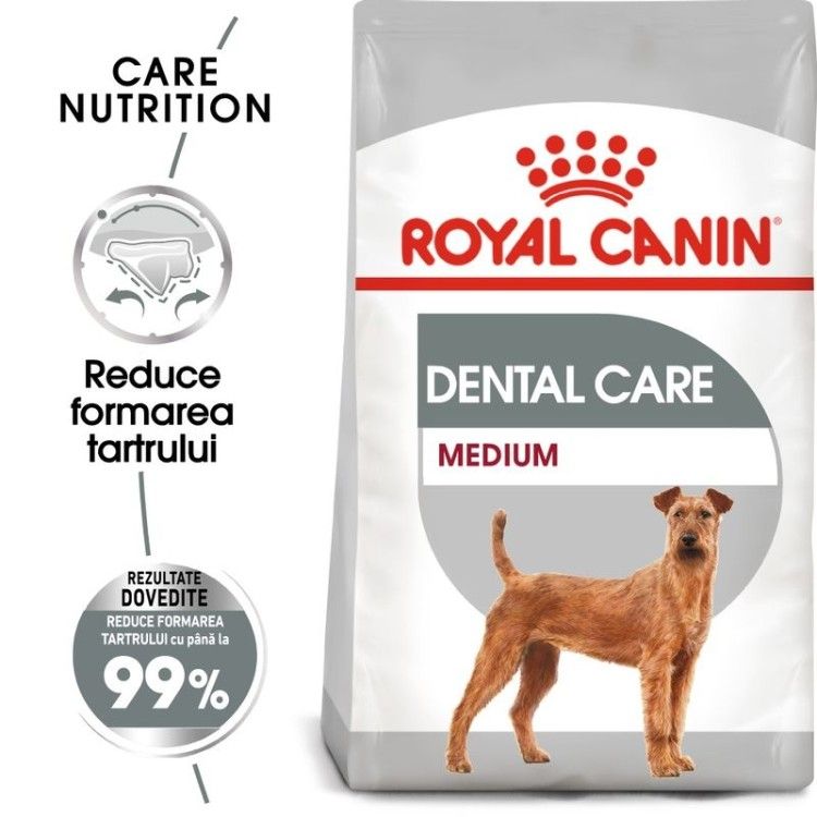Royal Canin Dental Care Medium, 10 kg - sac